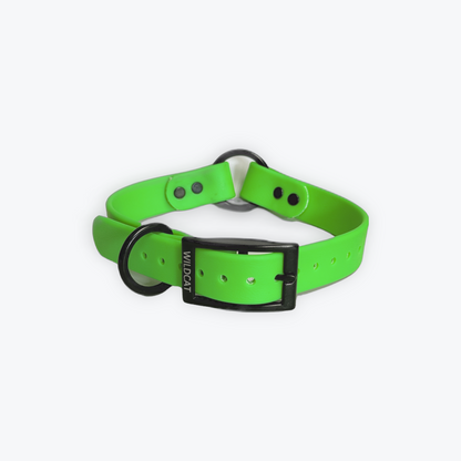 Dog Collars - 1” Beta Waterproof Collars