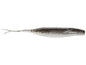 Zoom - Winged Fluke
