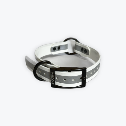 1 in reflective dog collar with black hardware