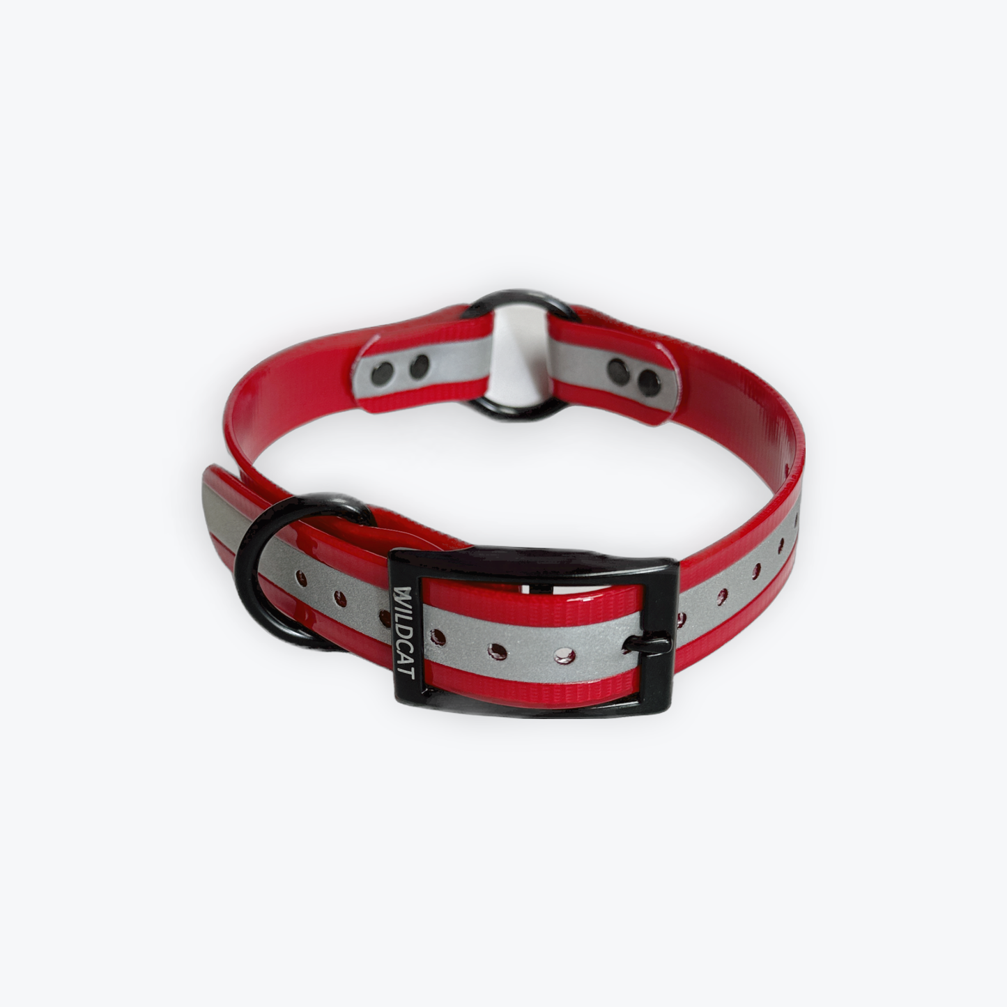 1 in reflective dog collar with black hardware