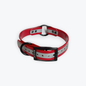 1 in reflective dog collar with black hardware