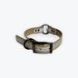 1 in reflective dog collar with black hardware