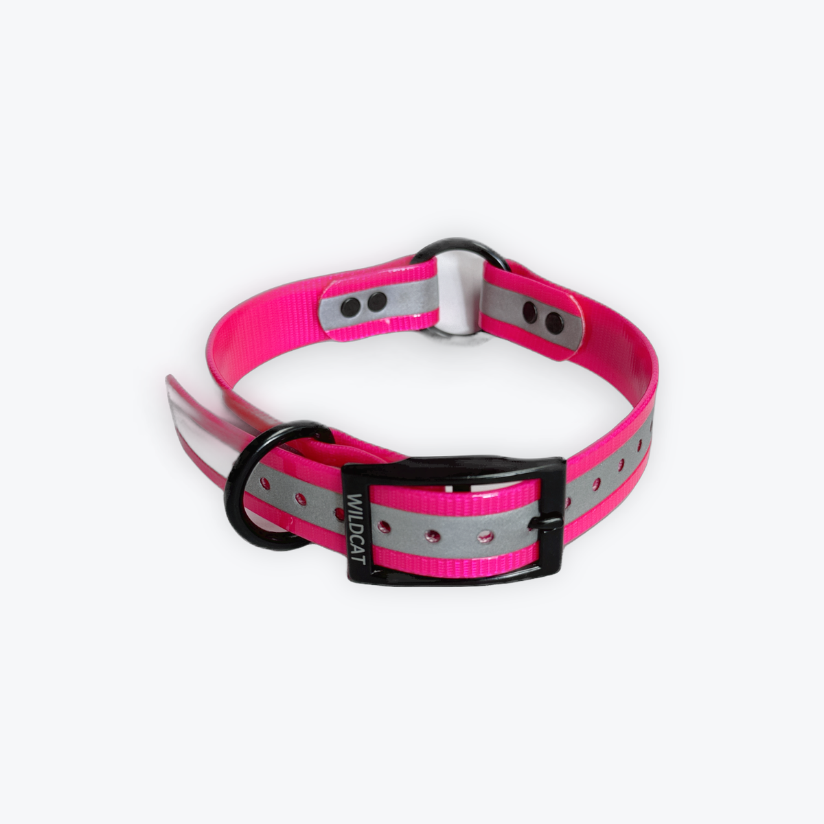 1 in reflective dog collar with black hardware