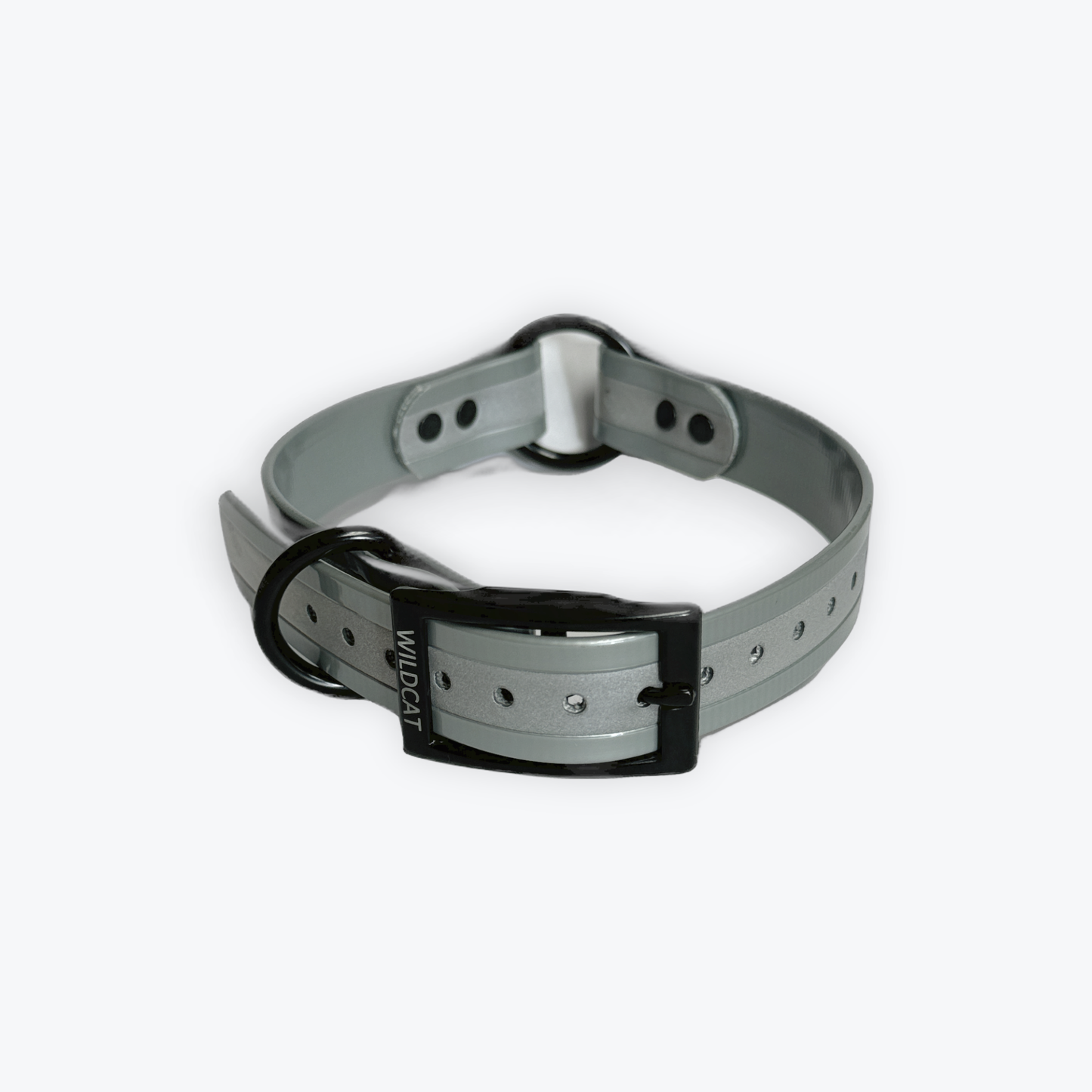 1 in reflective dog collar with black hardware