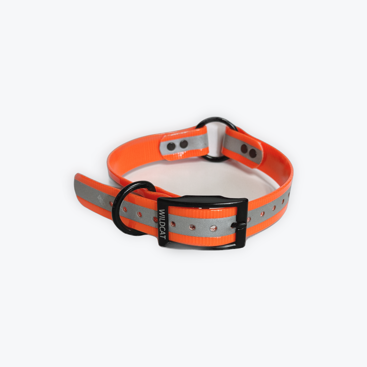 1 in reflective dog collar with black hardware