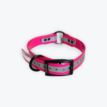 1 in reflective dog collar with black hardware